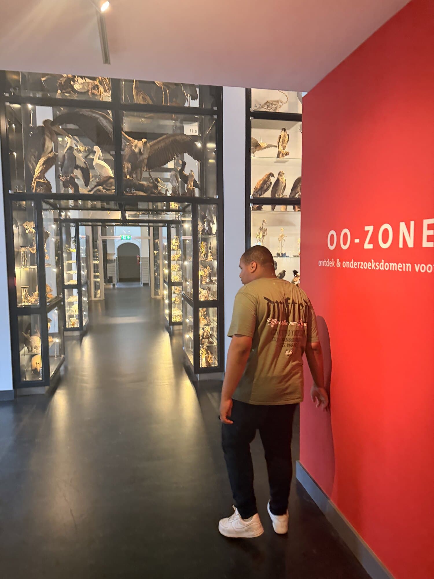 Een jongere loopt door een museumgang langs een verlichte vitrinewand, met een rode muur en de tekst onderzoekszone.